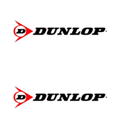 partner name